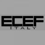 LOGO_ECEF