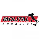 LOGO_MOLITAL