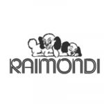 LOGO_RAIMONDI